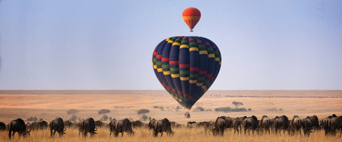 Hot Air Balloon over the Masai Mara with Wilderbeest below.