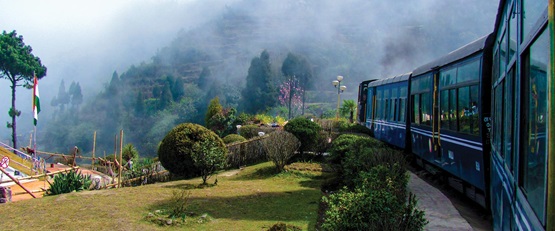 Train travelling through tea plantation, India