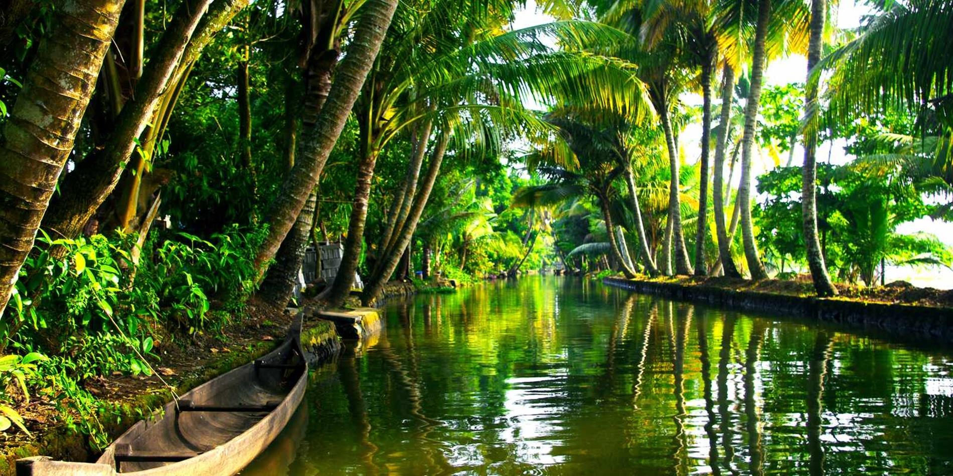 Lush green vegation surrounds the backwaters of Kerala