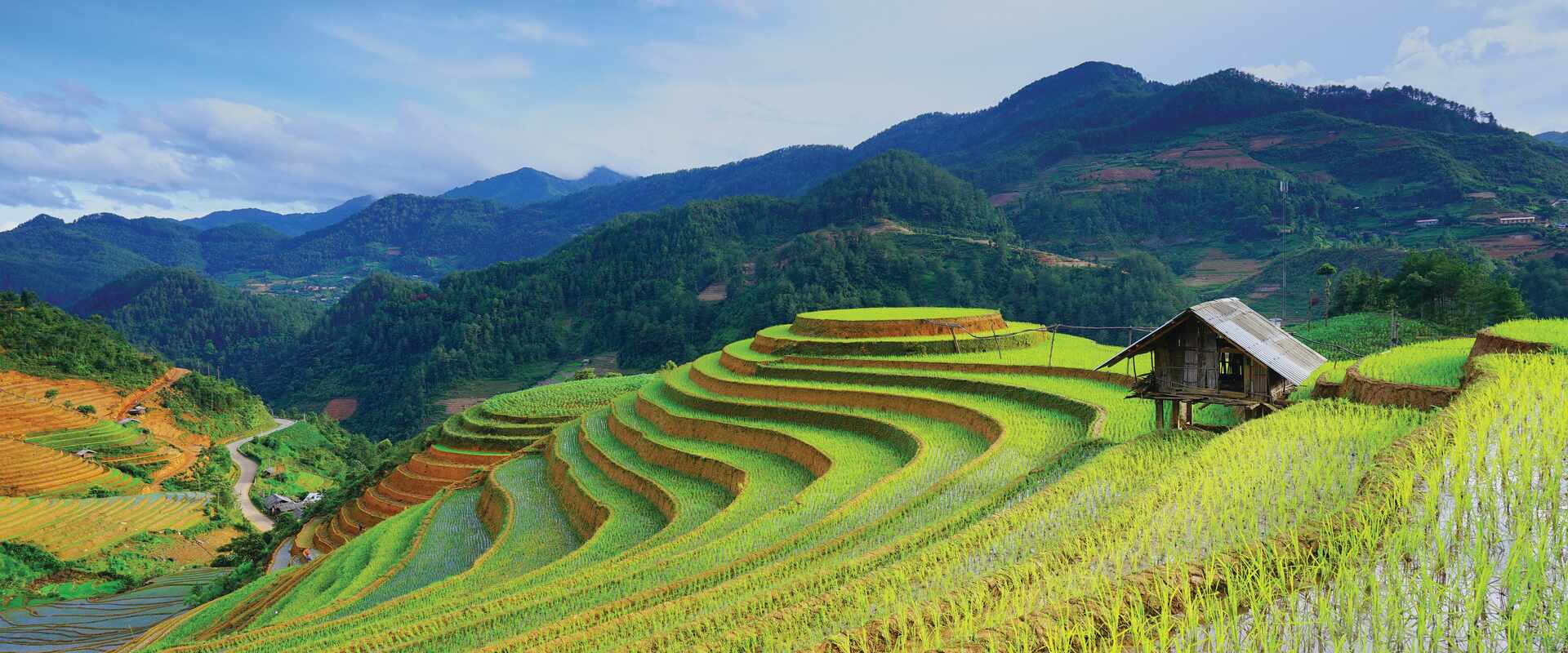 Rice fields terraced in Sapa, Vietnam