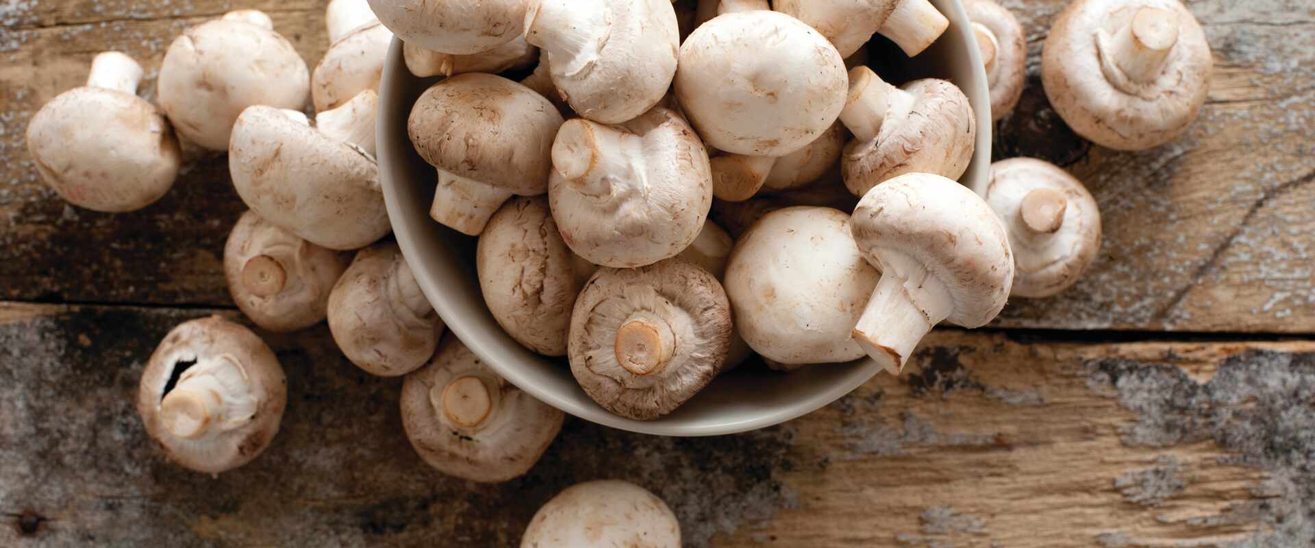 Image of mushrooms in a bowl
