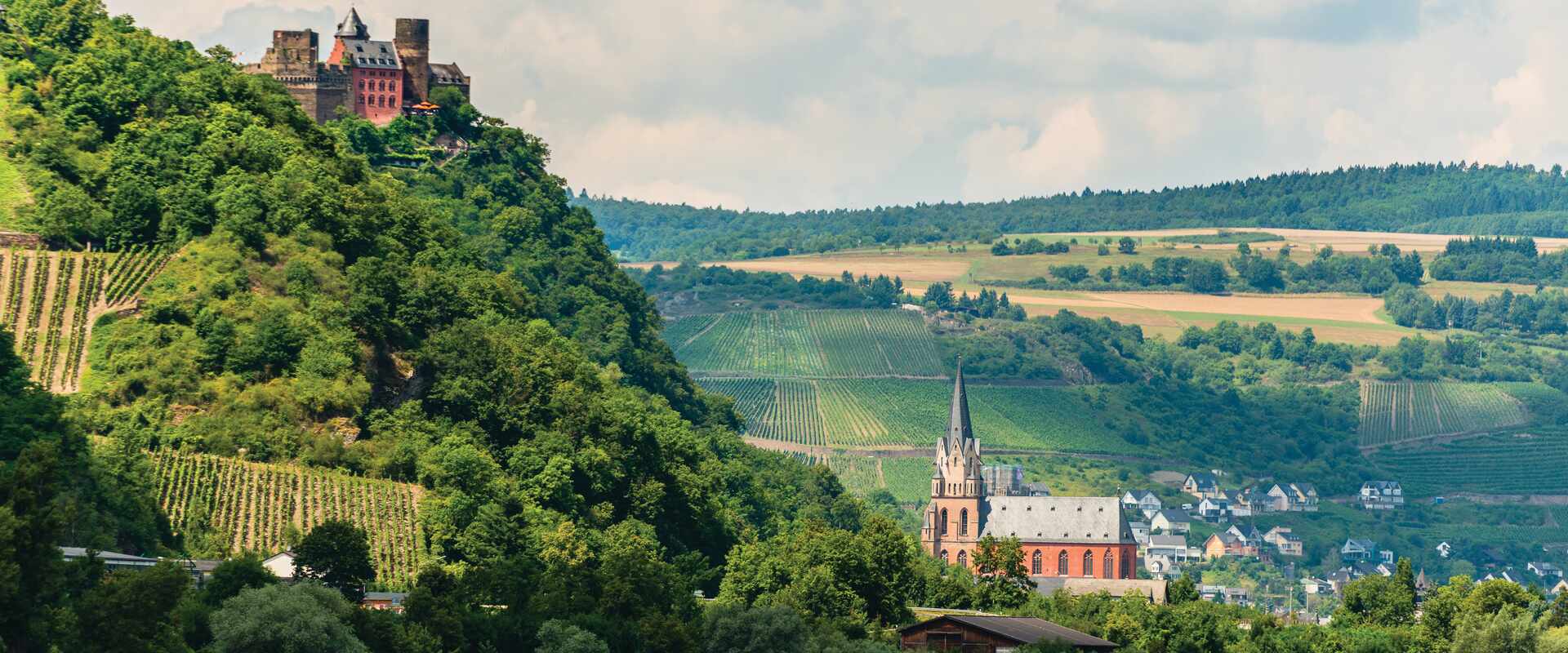 Verdant green hills in the Rhine Valley
