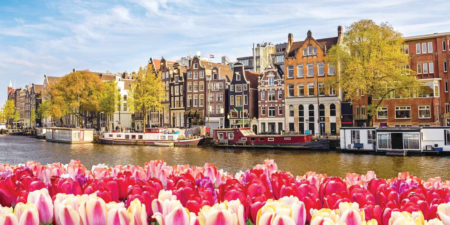 View of Amsterdam Canal waterfront with Spring Tulip flowers, Netherlands