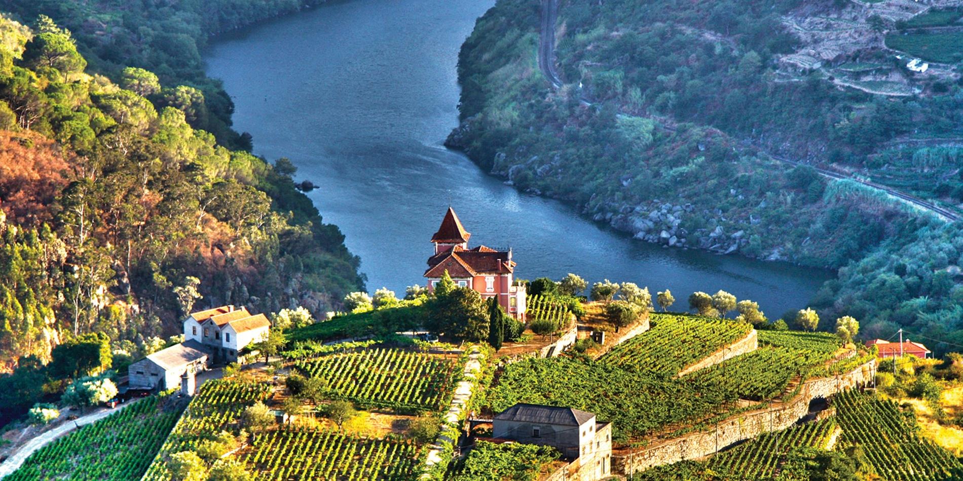 Aerial view of the Douro Valley in Portugal