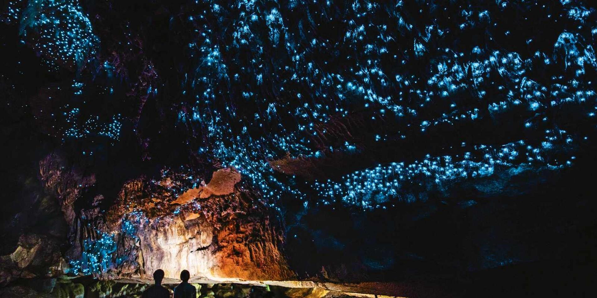 Dark cave dotted with luminescent glow worms