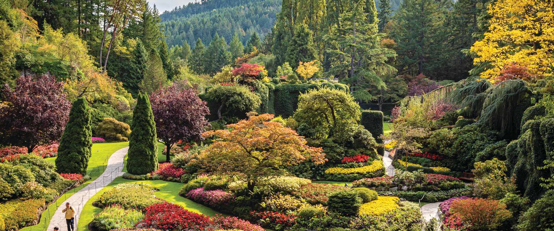 View looking down over the colourful Butchart Gardens in Canada