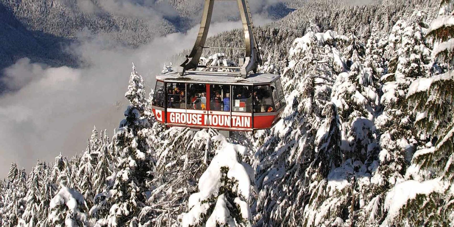 Rockies Winter Premium, Winter Wonderland