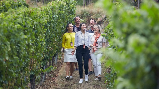 Tour guide walking with a group through a vineyard