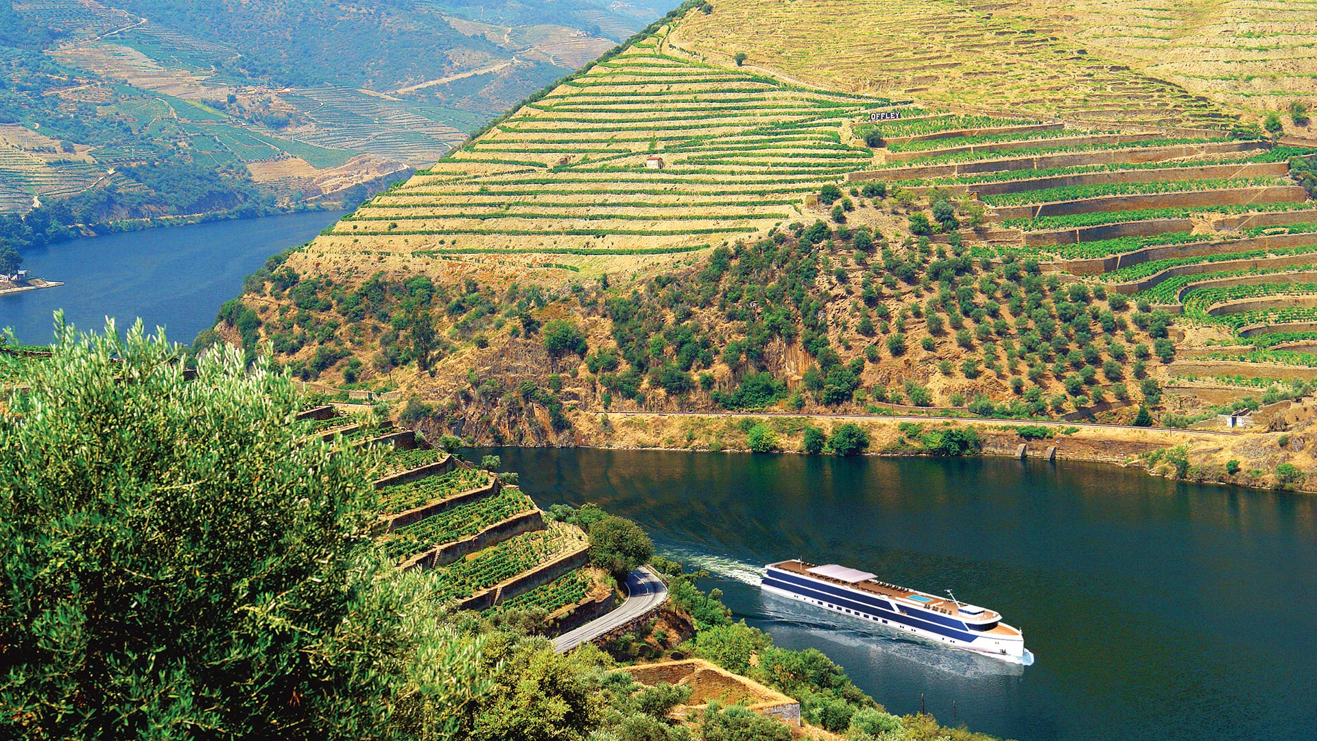 Admire the beautiful scenery aboard the MS Douro Serenity.
