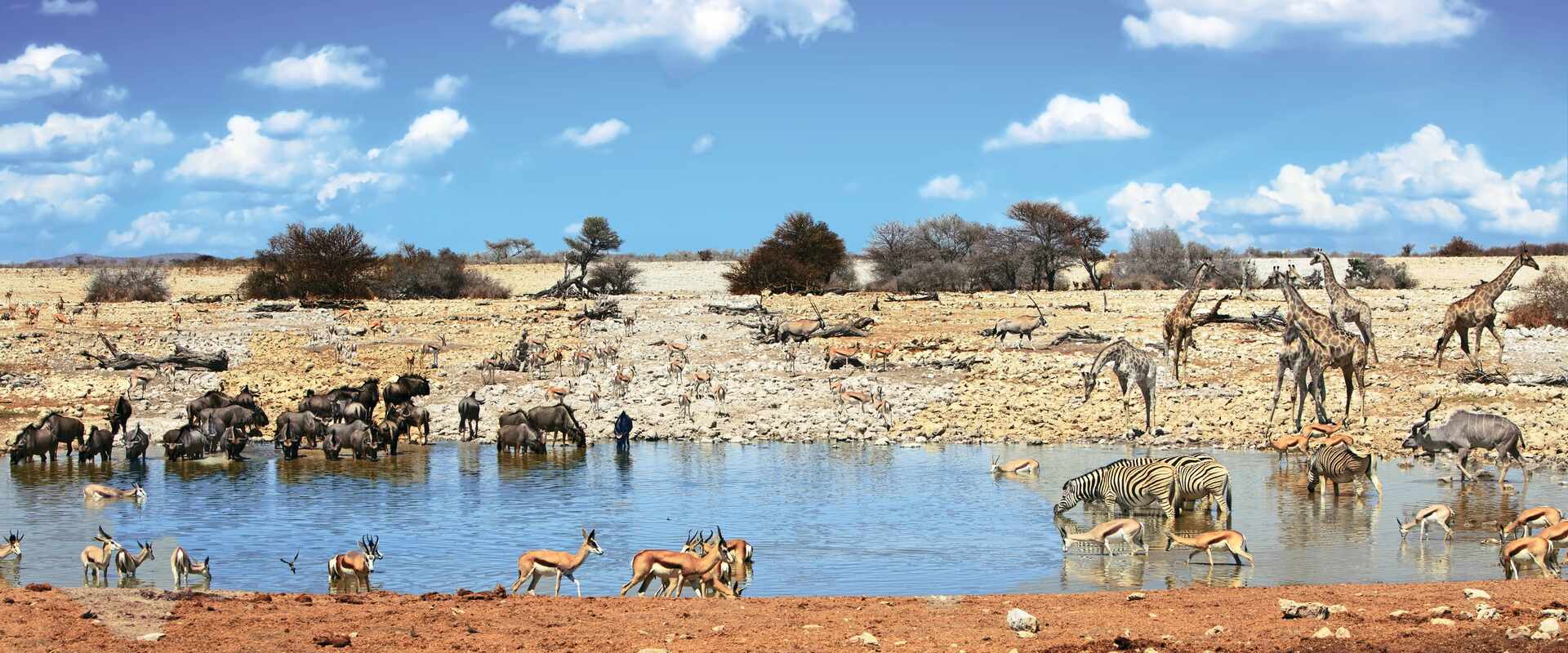 View of Etosha National Park waterhole, Namibia