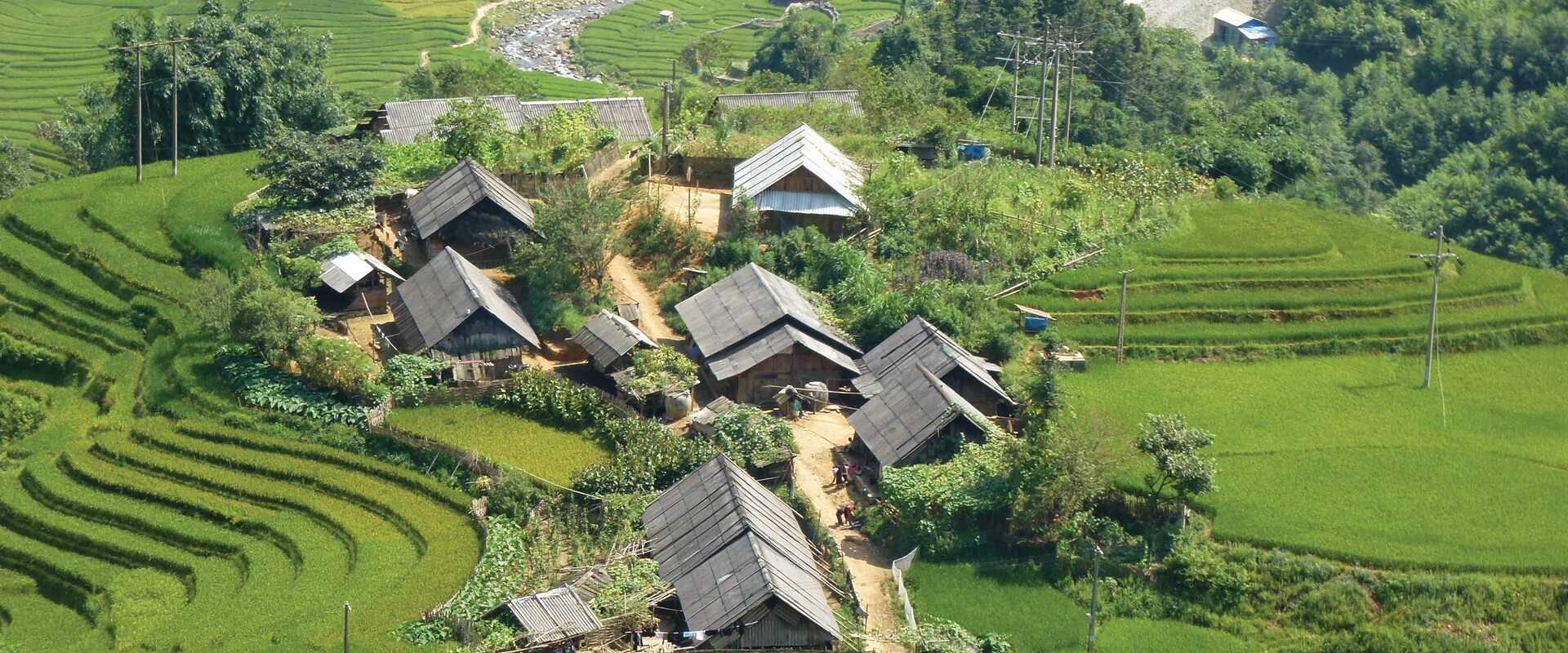 buildings rice fields sapa, vietnam