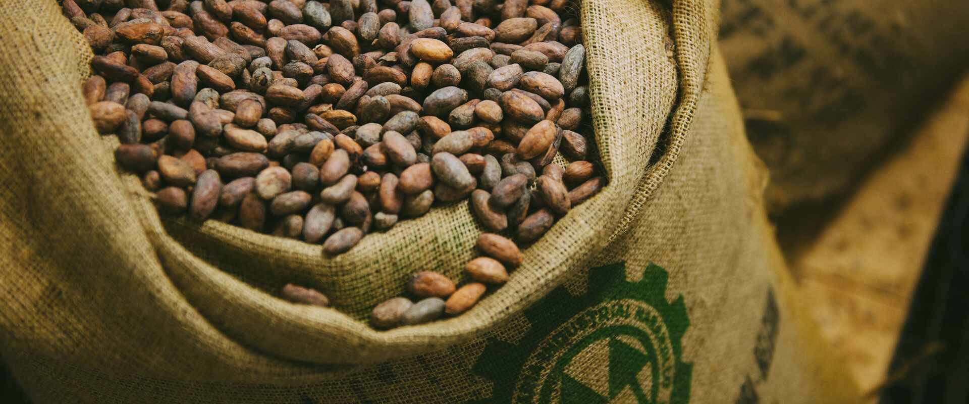 cacao beans in hessian bag, western australia