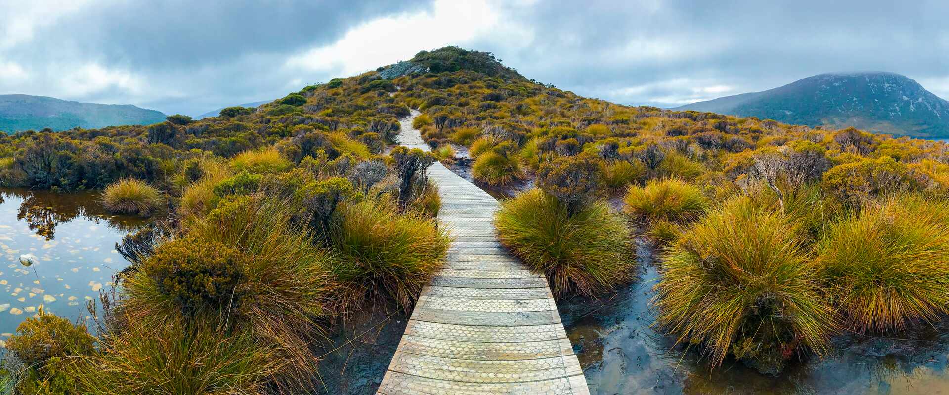 Raised boardwalk in the Cradle Mountain Lake St Clair National Park