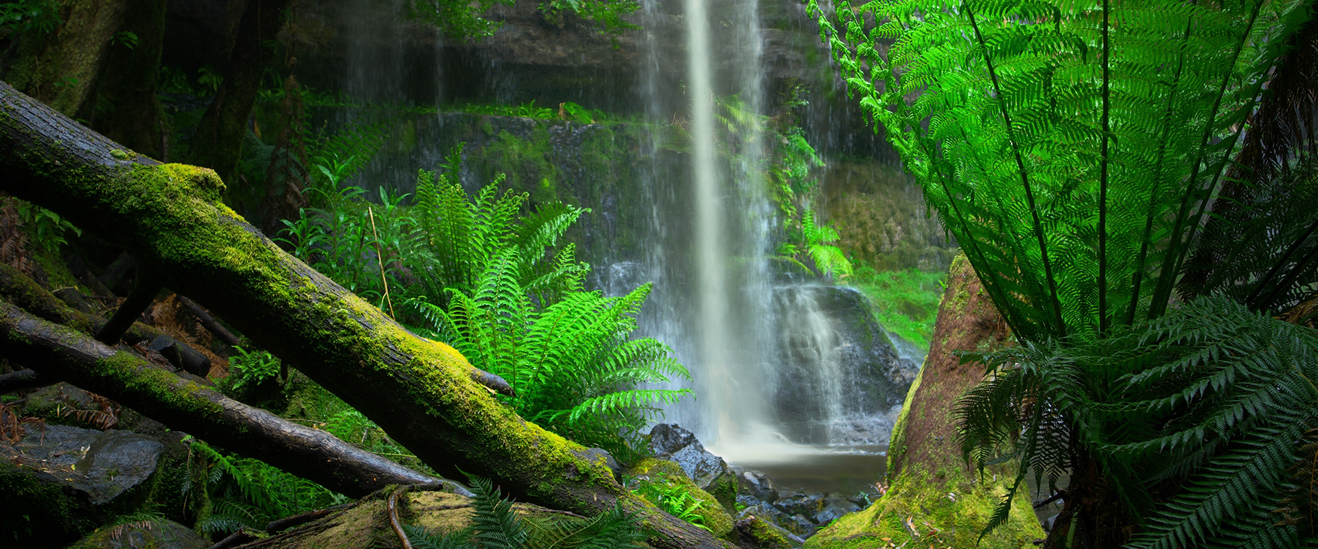 Take in the incredible tranquility of Tasmania's Russell Falls