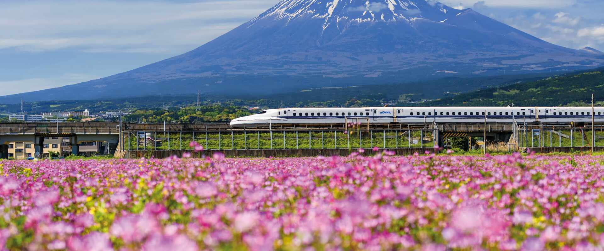 Bullet train travels past fields in Japan with Mt Fuji in the background